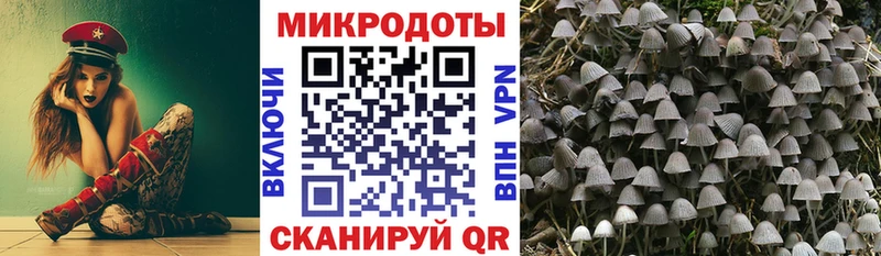 Галлюциногенные грибы мицелий  Купить где  Павловская 